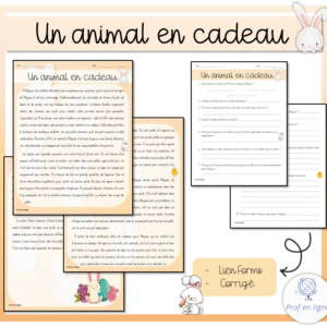 Un animal en cadeau - compréhension lecture